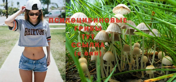 меф VHQ Рославль